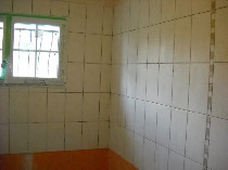 wp0982edbf_0f.jpg